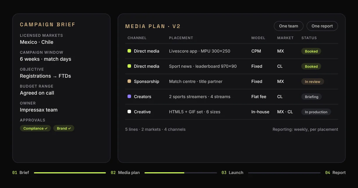 Demo campaign brief and media plan connecting publisher placements, sponsorships, creators and creative